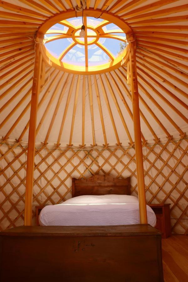 Glamping La Cascina D'Orleans Saint-Pierre Exterior foto